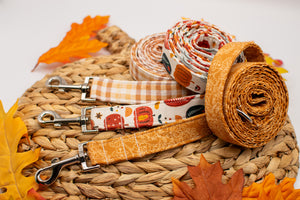 Rust Orange Floral Dog Collar