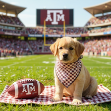 Load image into Gallery viewer, Maroon Gingham Dog Bandana
