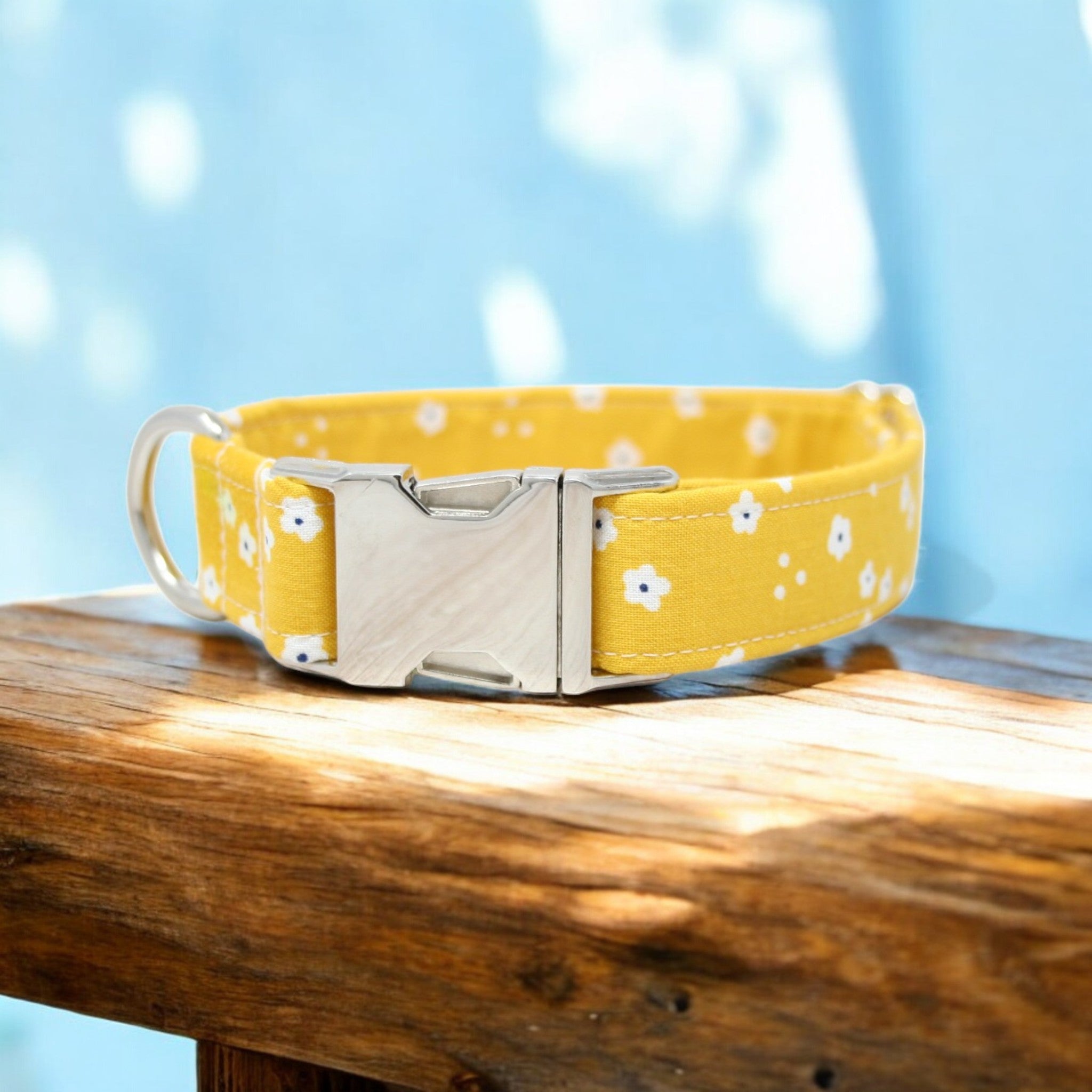 leather daisy dog collar