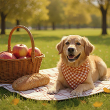 Load image into Gallery viewer, Burnt Orange Gingham Dog Bandana
