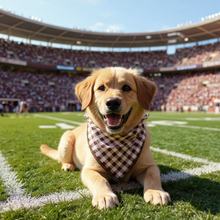 Load image into Gallery viewer, Maroon Gingham Dog Bandana
