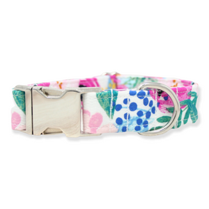Colorful Floral Watercolor Dog Collar