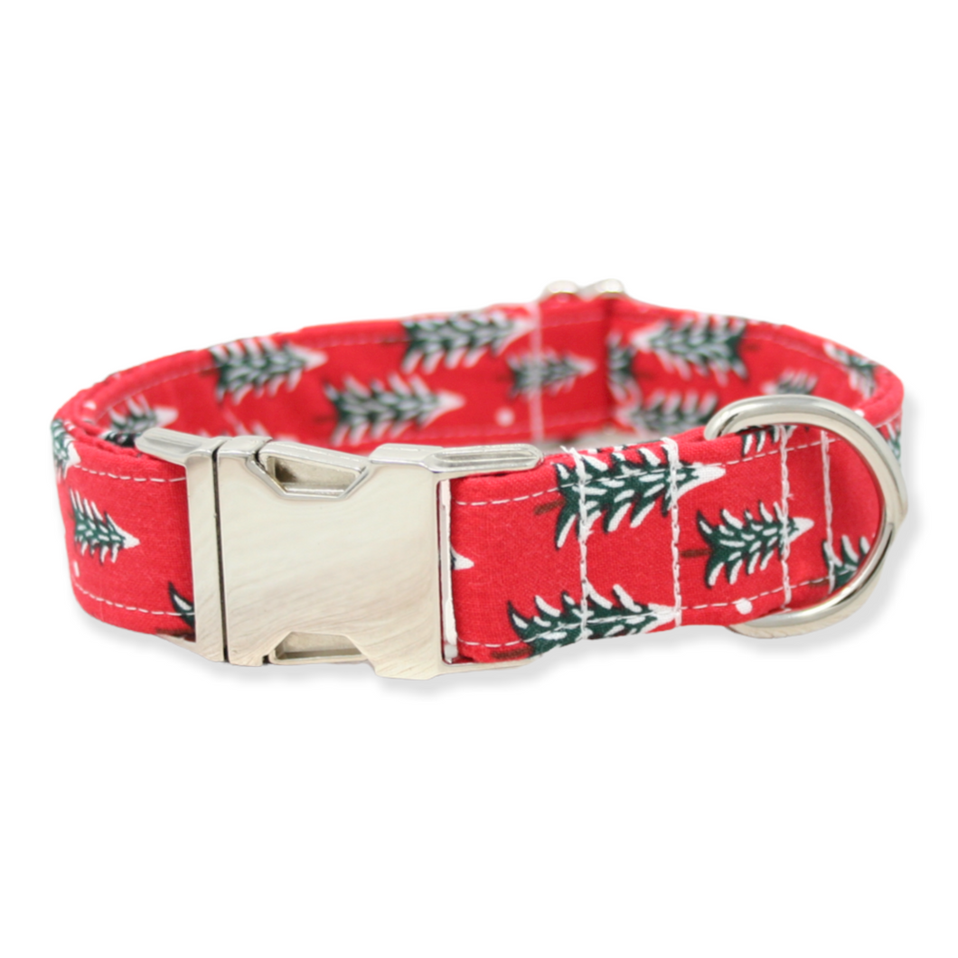Fir Trees in Red Dog Collar