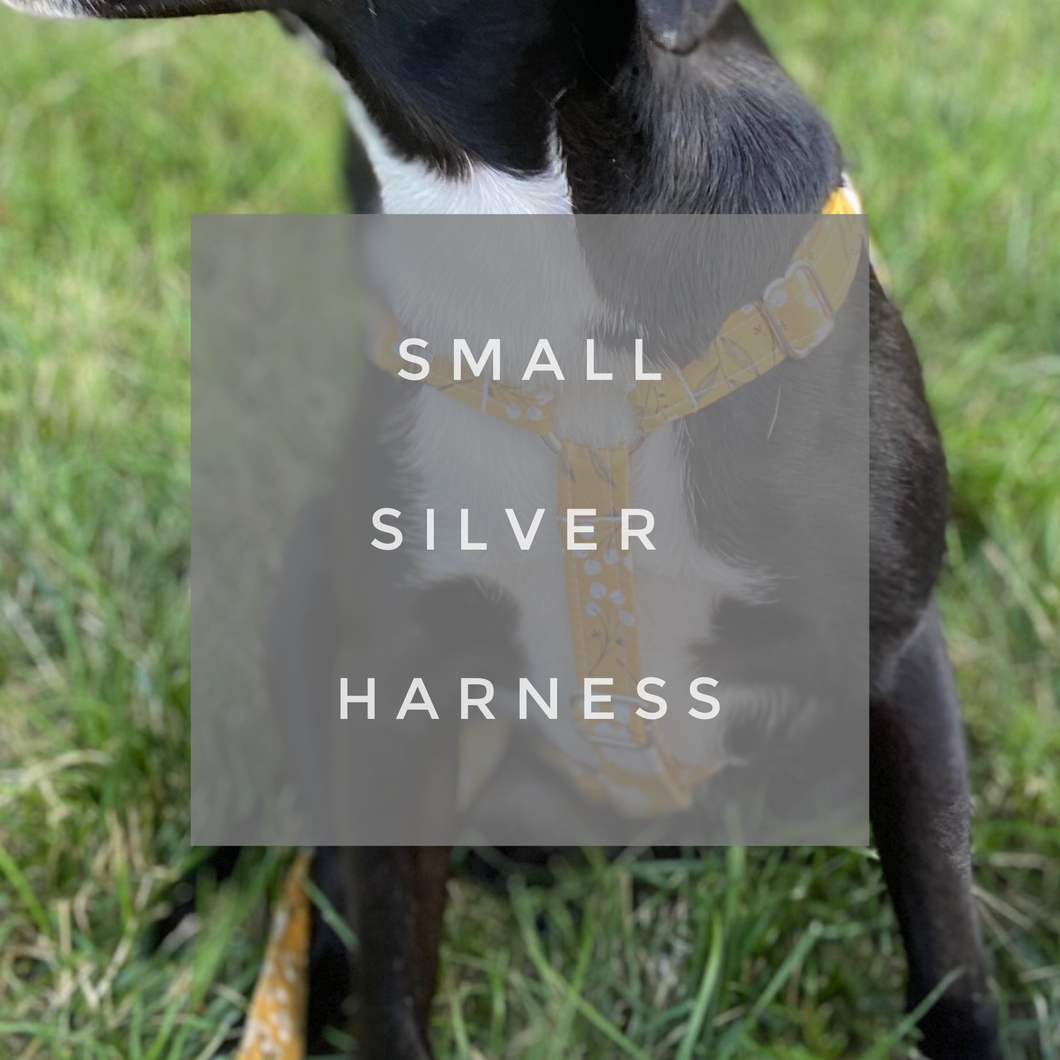 SMALL / SILVER / HARNESS (15 - 30 LBS)