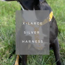 Load image into Gallery viewer, X-LARGE / SILVER / HARNESS (75+ LBS)
