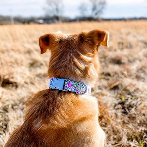 Berry leaves floral dog collar from The Oxford Dog