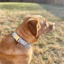 Load image into Gallery viewer, Blue daisy floral dog collar from The Oxford Dog. 
