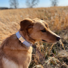 Load image into Gallery viewer, Grey seersucker dog collar from The Oxford Dog. 
