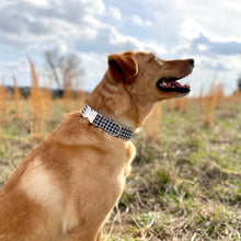 Load image into Gallery viewer, Houndstooth dog collar from The Oxford Dog.

