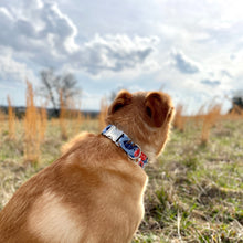 Load image into Gallery viewer, Les fleur periwinkle dog collar from The Oxford Dog.

