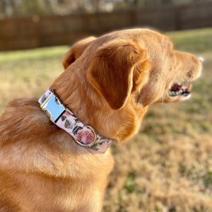 Mauve rose dog collar from The Oxford Dog. 