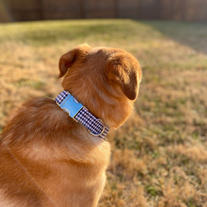 Navy blue gingham dog collar from The Oxford Dog. 