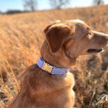 Load image into Gallery viewer, Navy blue seersucker dog collar from The Oxford Dog. 
