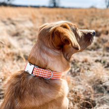 Load image into Gallery viewer, Orange gingham dog collar from The Oxford Dog. 
