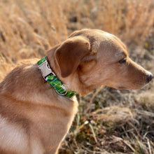 Load image into Gallery viewer, Palm leaf green dog collar from The Oxford Dog. 
