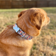 Load image into Gallery viewer, Rosa Periwinkle dog collar from The Oxford Dog. 
