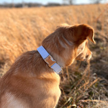 Load image into Gallery viewer, Sky blue seersucker dog collar from The Oxford Dog. 
