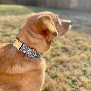 Teal meadows dog collar from The Oxford Dog. 