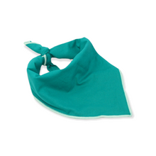Load image into Gallery viewer, Solid Enchanted Dog Bandana
