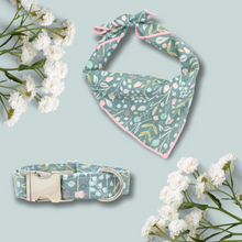 Load image into Gallery viewer, Teal Meadows | Collar &amp; Bandana Set
