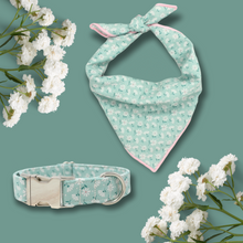 Load image into Gallery viewer, Teal &amp; White Flowers | Collar &amp; Bandana Set
