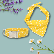 Load image into Gallery viewer, Yellow Daisies | Collar &amp; Bandana Set
