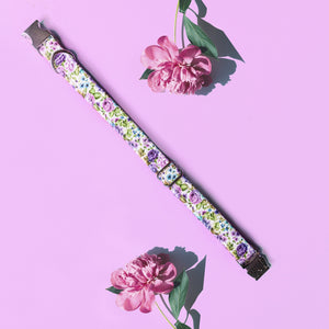 Floral berry leaves dog collar.