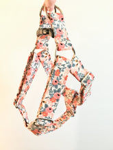 Load image into Gallery viewer, Peach dog harness from The Oxford Dog.
