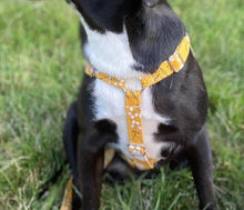 Load image into Gallery viewer, Yellow dog harness from The Oxford Dog. 
