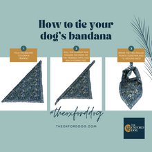 Load image into Gallery viewer, Les Fleur Periwinkle Dog Bandana
